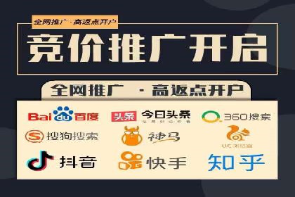 SEM代理案例：揭秘成功背后的秘密